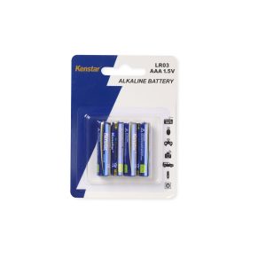 Alkaline Battery Sample 02